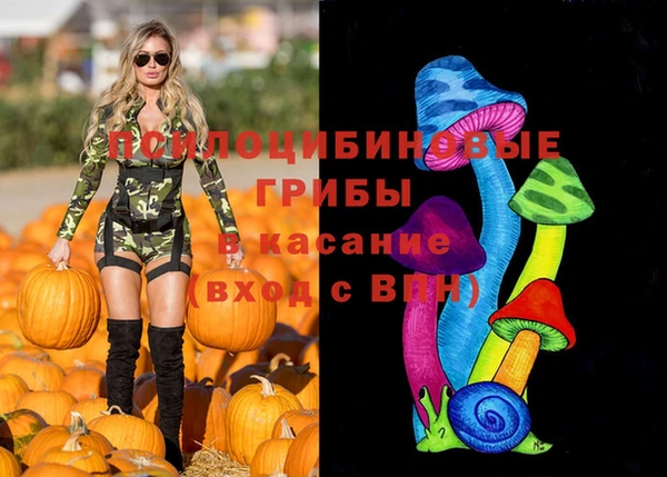 spice Алзамай