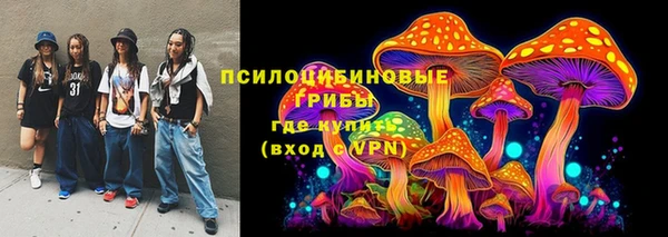 spice Алзамай