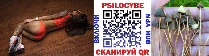 Галлюциногенные грибы Psilocybe Кандалакша