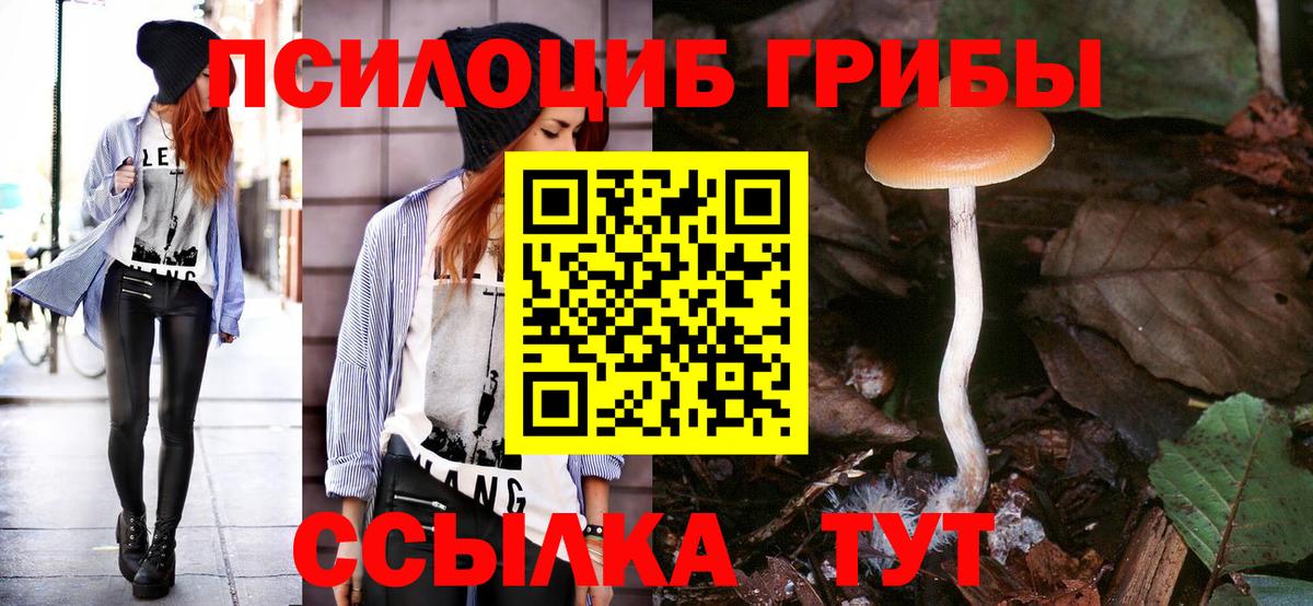 Галлюциногенные грибы ЛСД Кандалакша