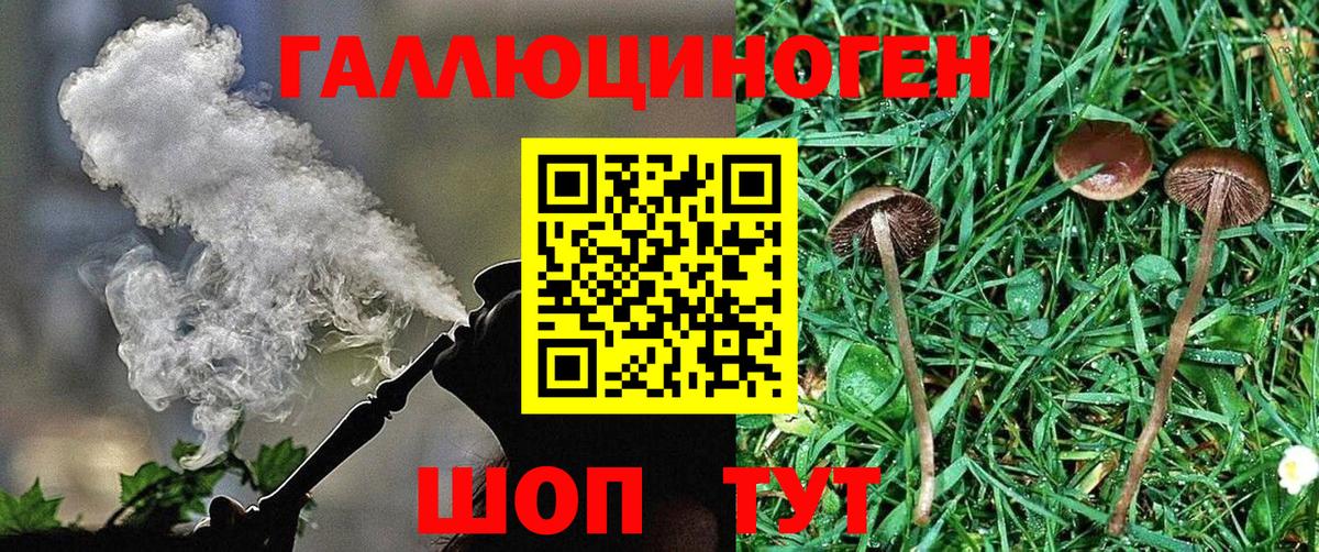 Галлюциногенные грибы GOLDEN TEACHER  купить закладку  Кандалакша  Вход с VPN  Галлюциногенные грибы Magic Shrooms 